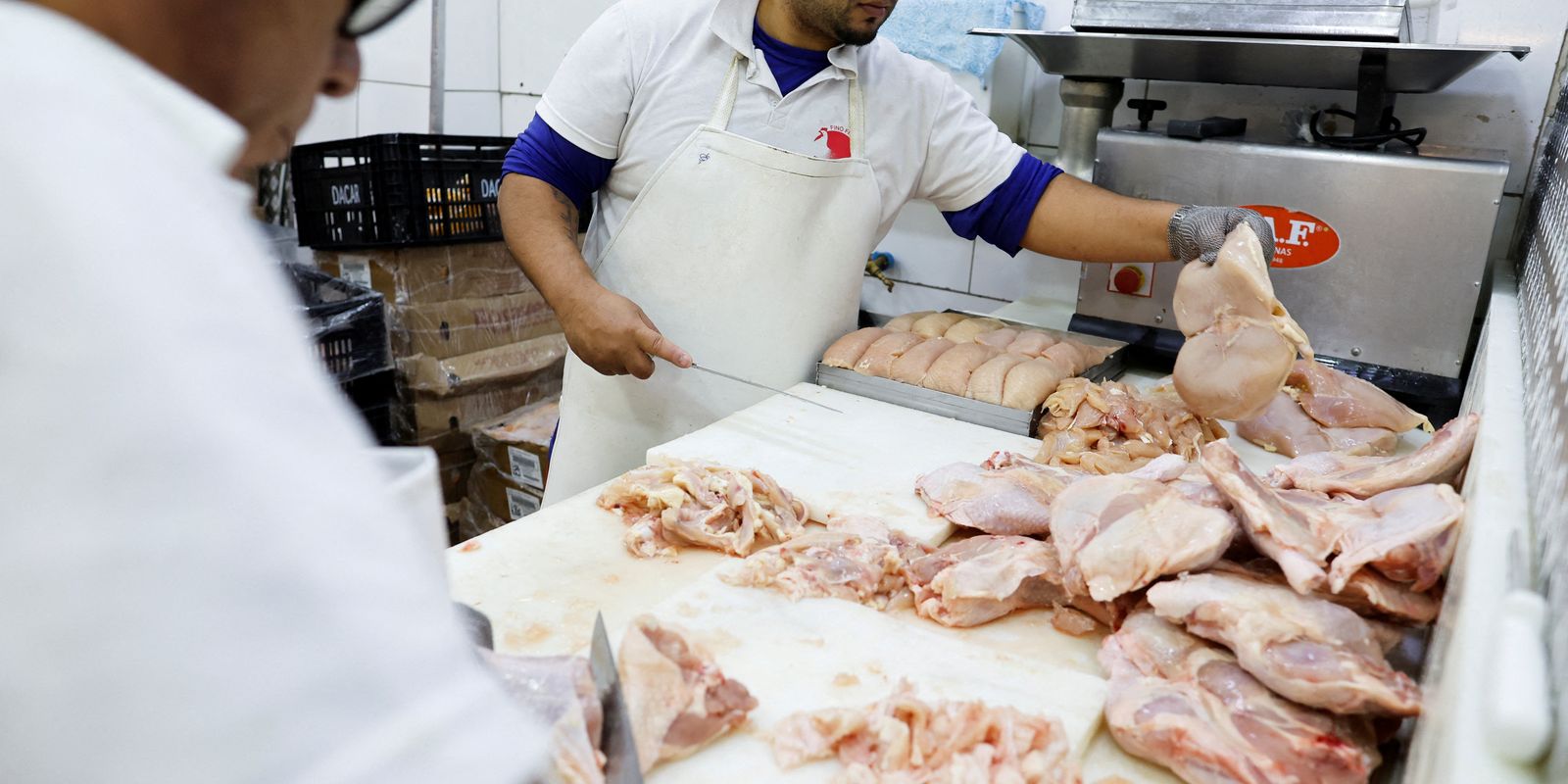 União Europeia reconhece Brasil como livre de gripe aviária