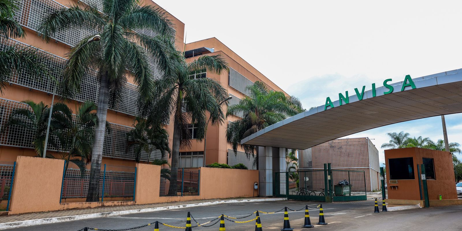 Anvisa manda recolher lote de dipirona com desvio de qualidade